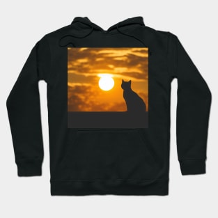 Black Cat Watching Sunset Hoodie